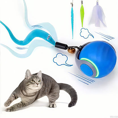 🔥Last Day 52% OFF - SPEEDY TAIL 2.0 (Buy 2 Get 1 Free)