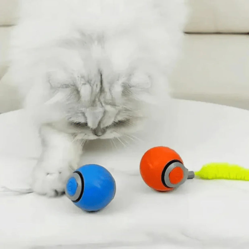 🔥Last Day 52% OFF - SPEEDY TAIL 2.0 (Buy 2 Get 1 Free)