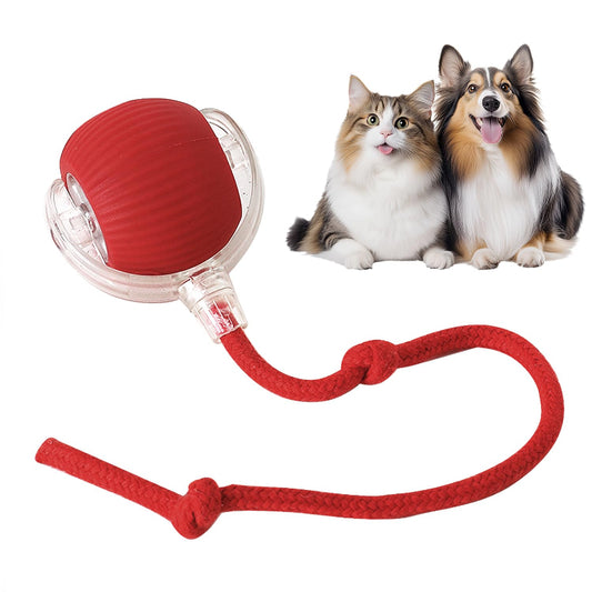 🔥Smart Chase Interactive Pet Ball-Pet Activity Toys&Pet Training Toys🐾