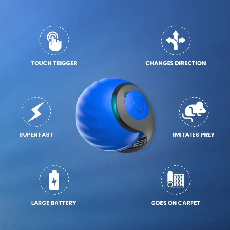 🔥Last Day 52% OFF - SPEEDY TAIL 2.0 (Buy 2 Get 1 Free)