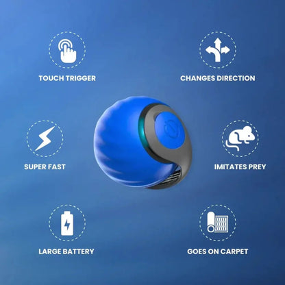 🔥Last Day 52% OFF - SPEEDY TAIL 2.0 (Buy 2 Get 1 Free)